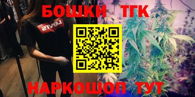 индика Пушкино