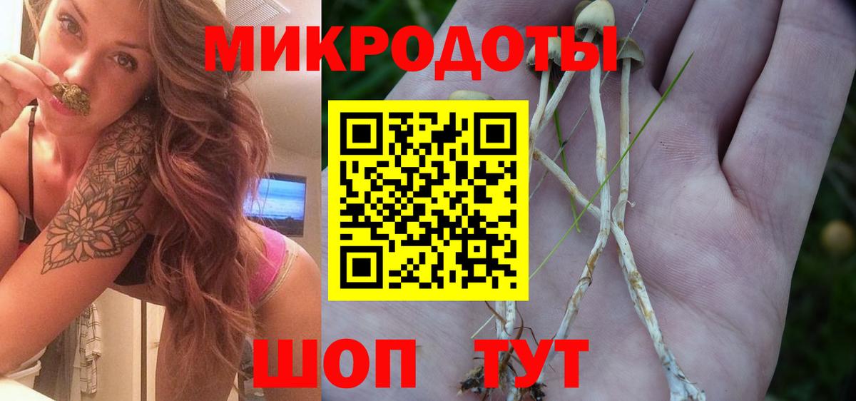 Галлюциногенные грибы Psilocybine cubensis Карабулак